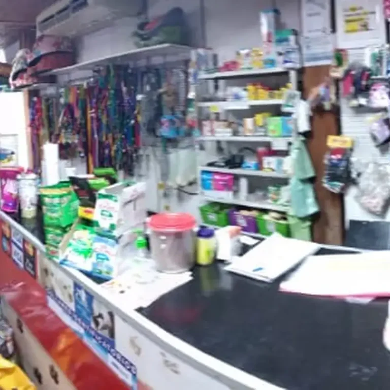 veterinaria pet shop el arca 768x768