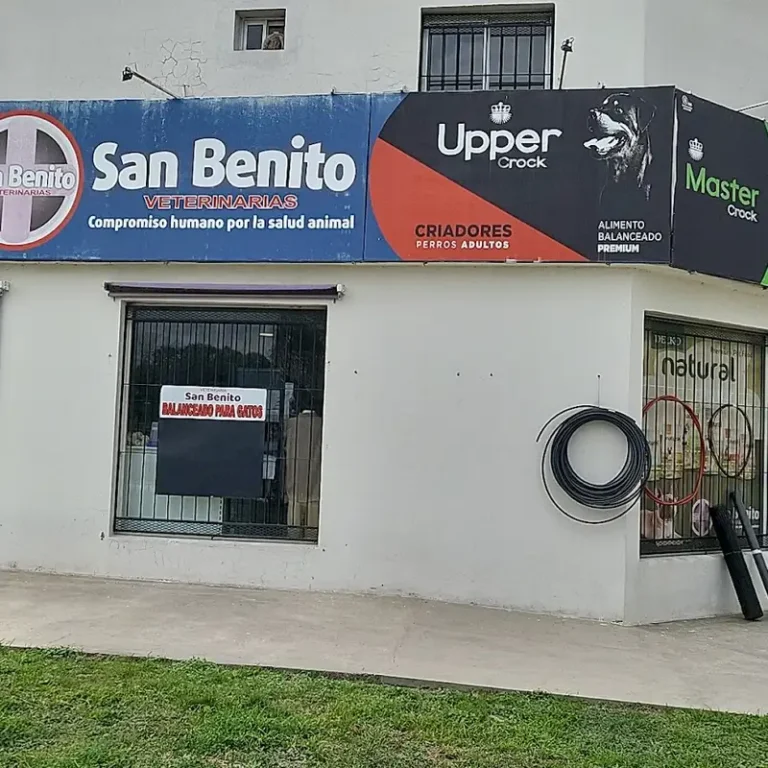 veterinaria san benito sucursal colonia ensayo 768x768