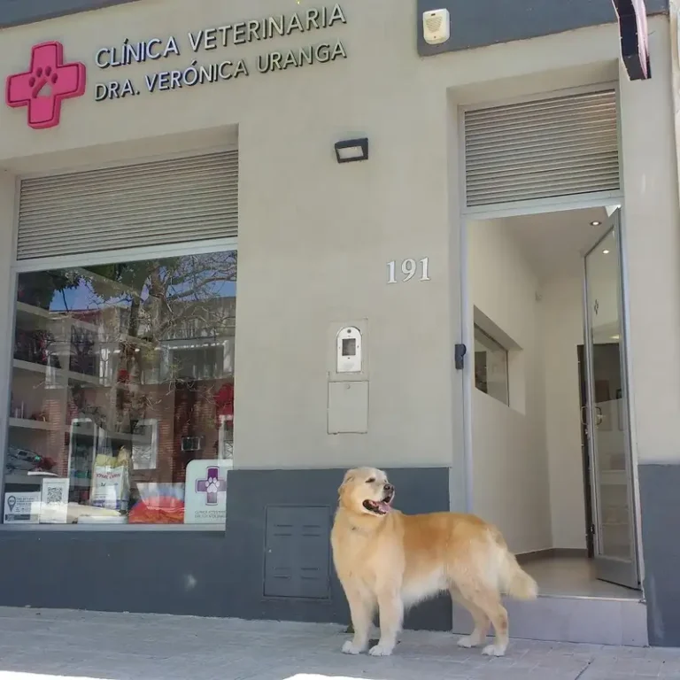 veterinaria uranga 768x768