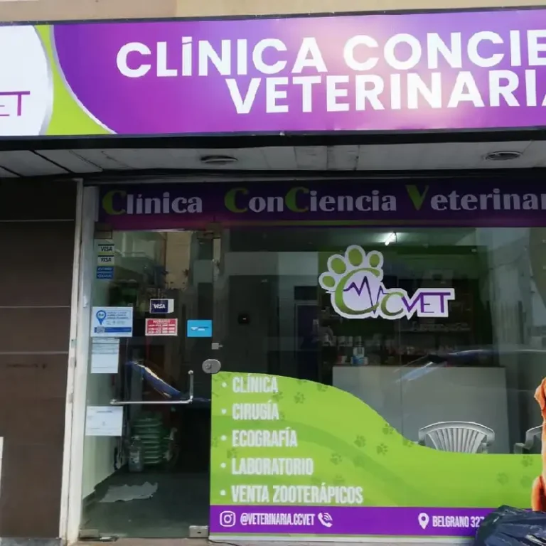 ccvet clinica conciencia veterinaria 768x768
