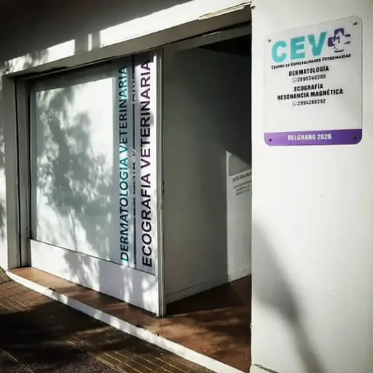 centro de especialidades veterinarias 768x768