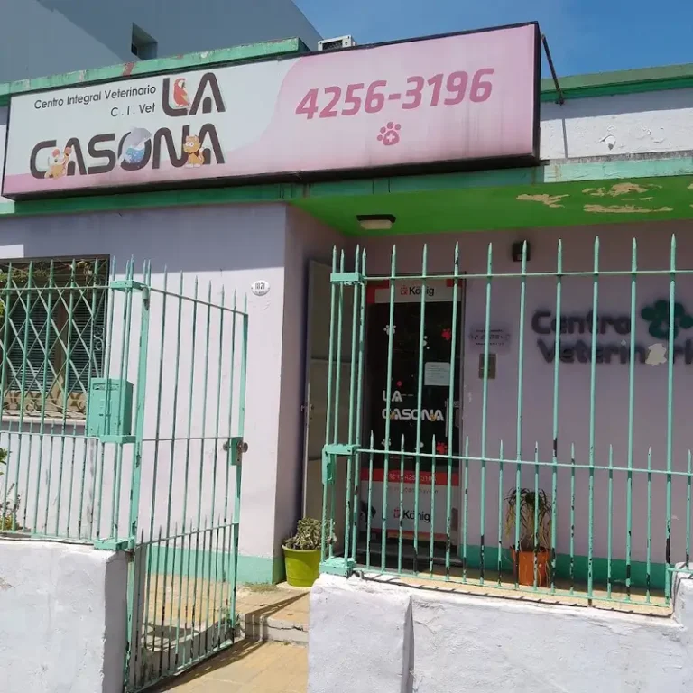 centro integral veterinario la casona 768x768