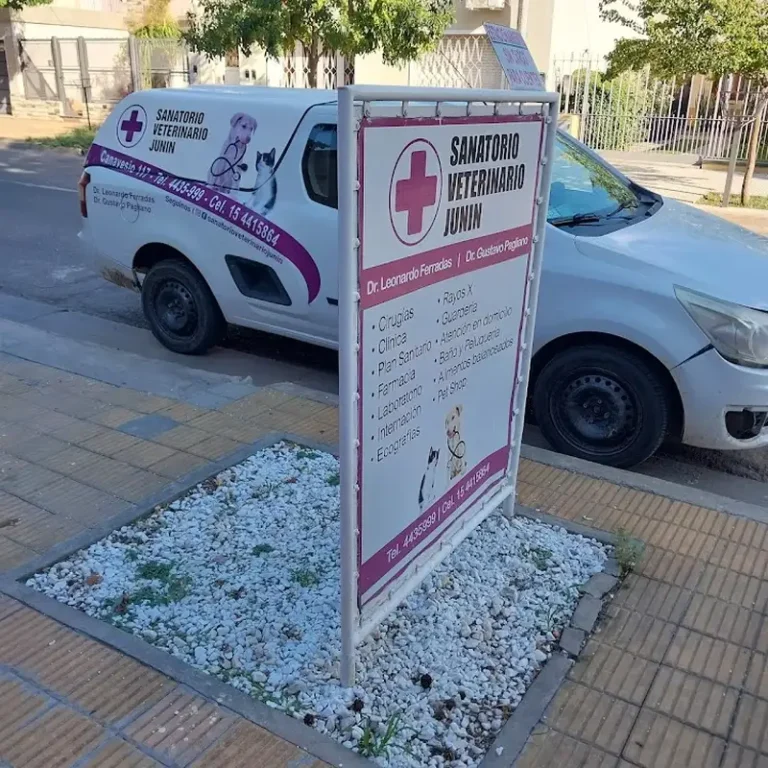 centro veterinario junin 768x768