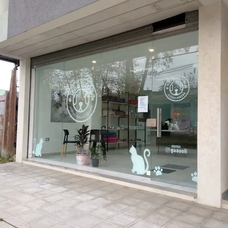 centro veterinario san vicente guauoli 768x768