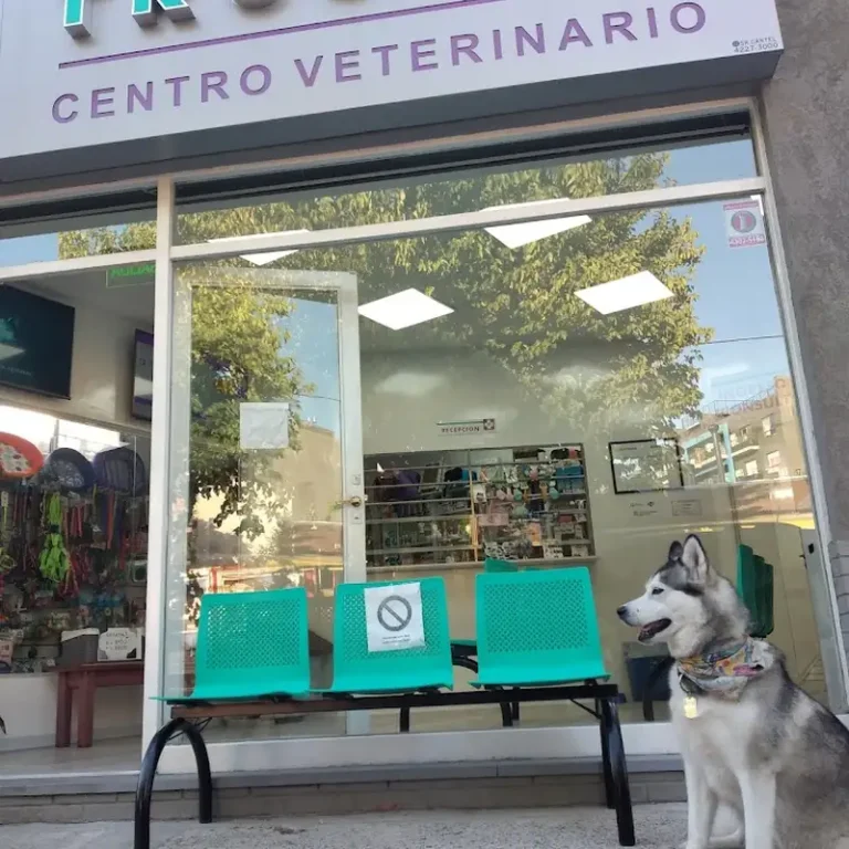 centro veterinario trusoni tigre 768x768