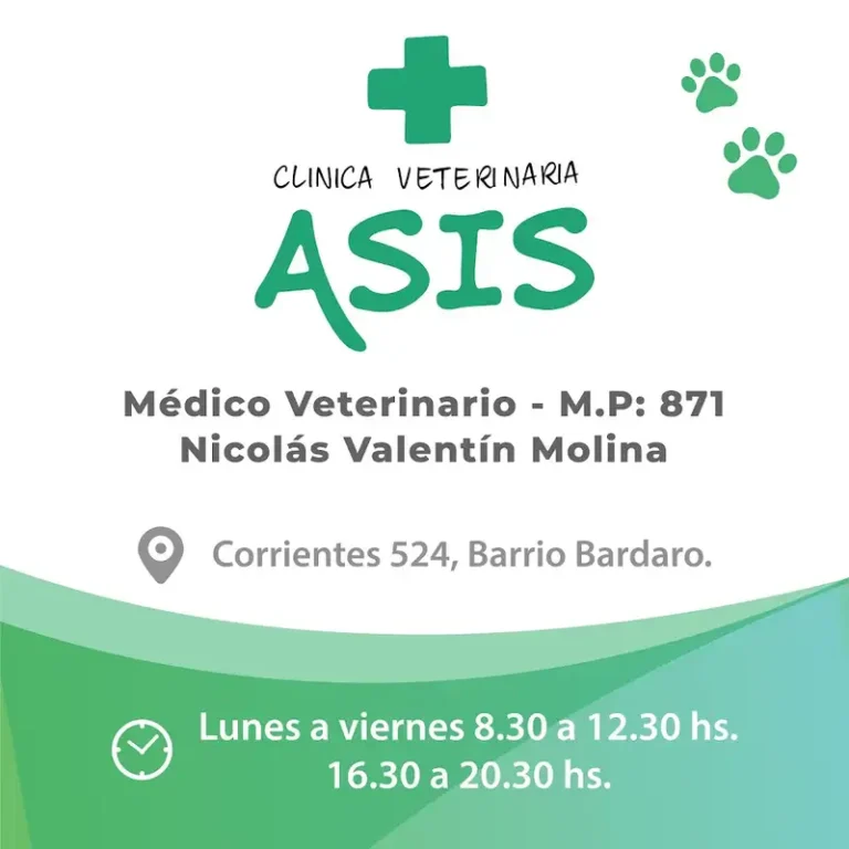 clinica veterinaria asis 768x768