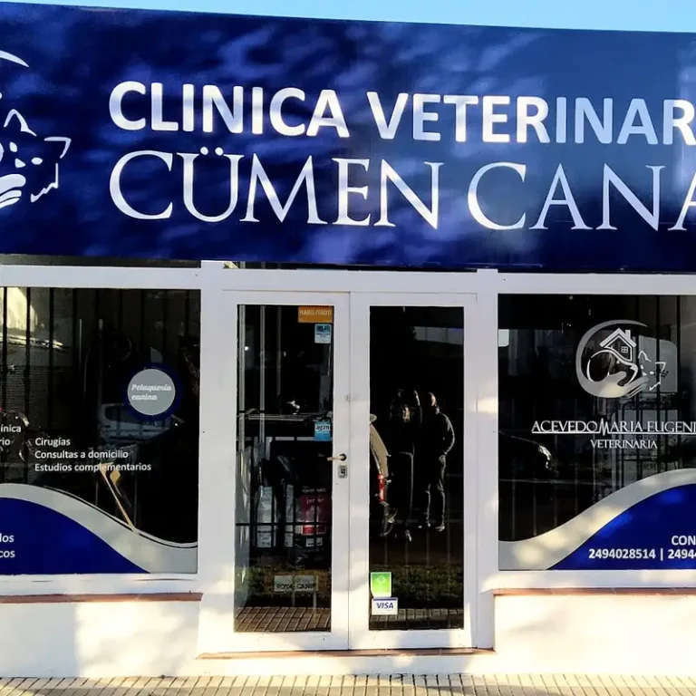 clinica veterinaria cumen canai 768x768