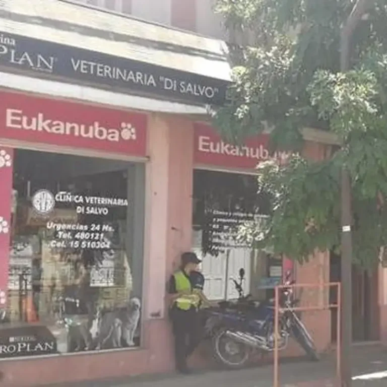 clinica veterinaria di salvo 768x768
