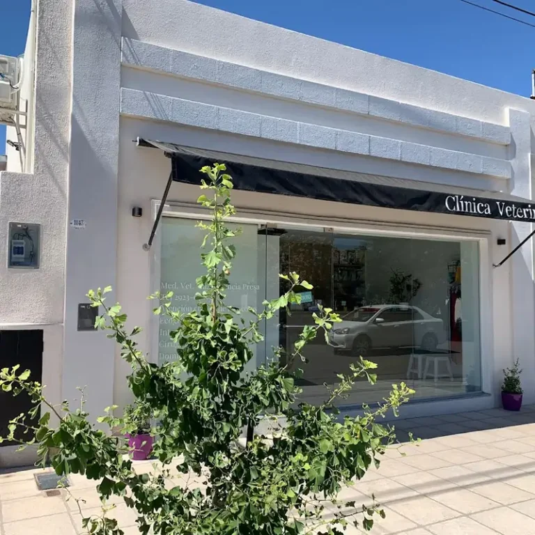 clinica veterinaria dra presa 768x768