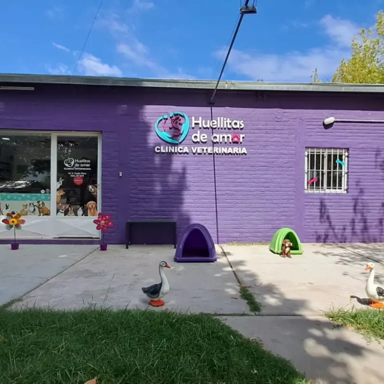 clinica veterinaria huellitas de amor 768x768