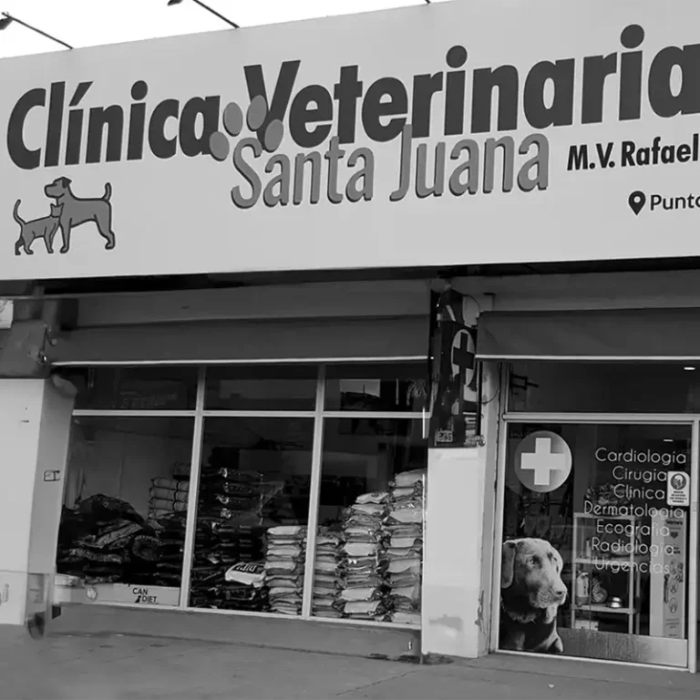 clinica veterinaria santa juana 768x768