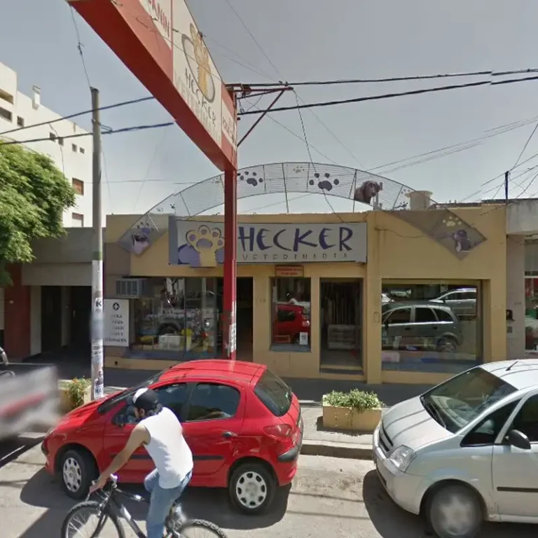 hecker veterinaria 768x768