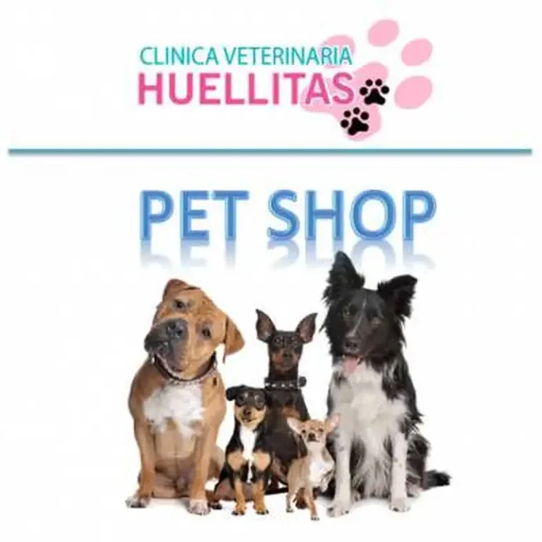 huellitas veterinaria 768x768