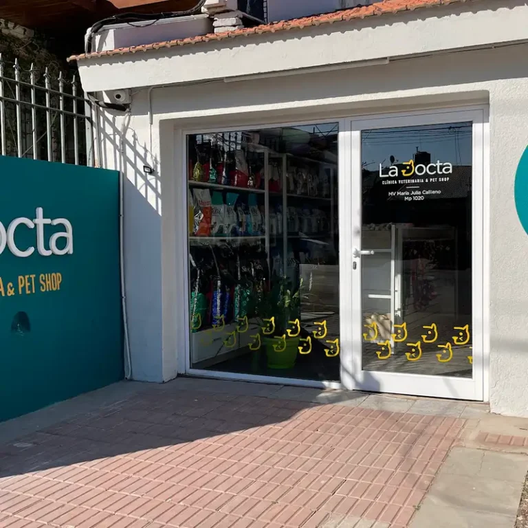 la docta clinica veterinaria 768x768