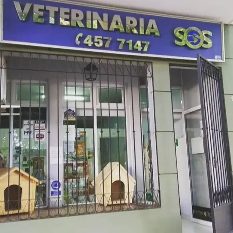 veterinaria 768x768