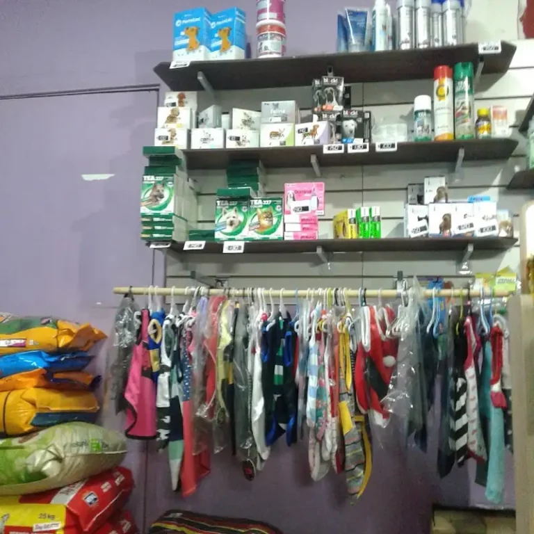 veterinaria auca 768x768