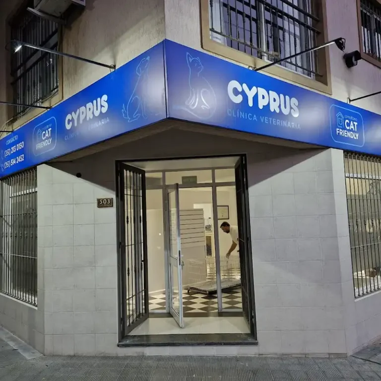 veterinaria cyprus 768x768