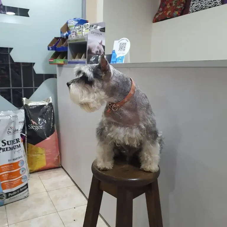 veterinaria dr biurrun 768x768
