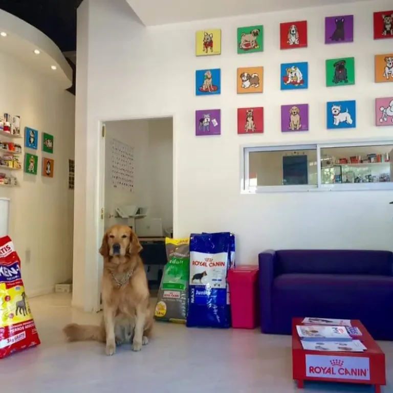veterinaria gaudi 768x768