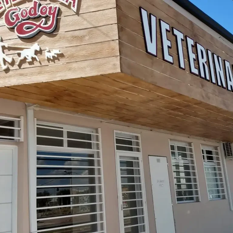 veterinaria godoy 768x768