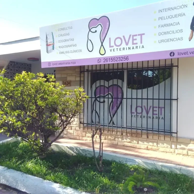 veterinaria lovet 768x768