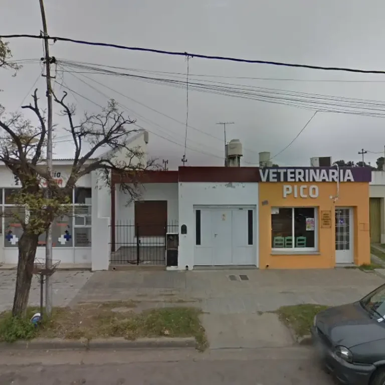 veterinaria pico 768x768