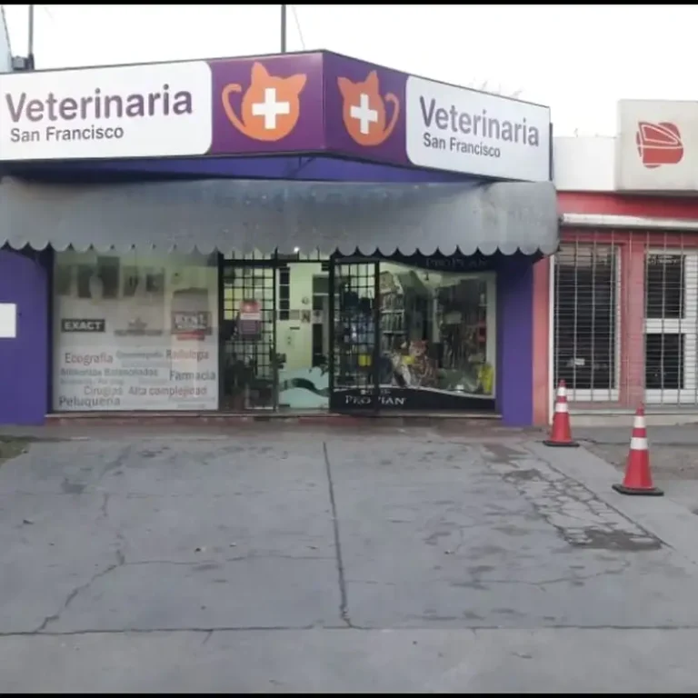 veterinaria san francisco mendoza 768x768