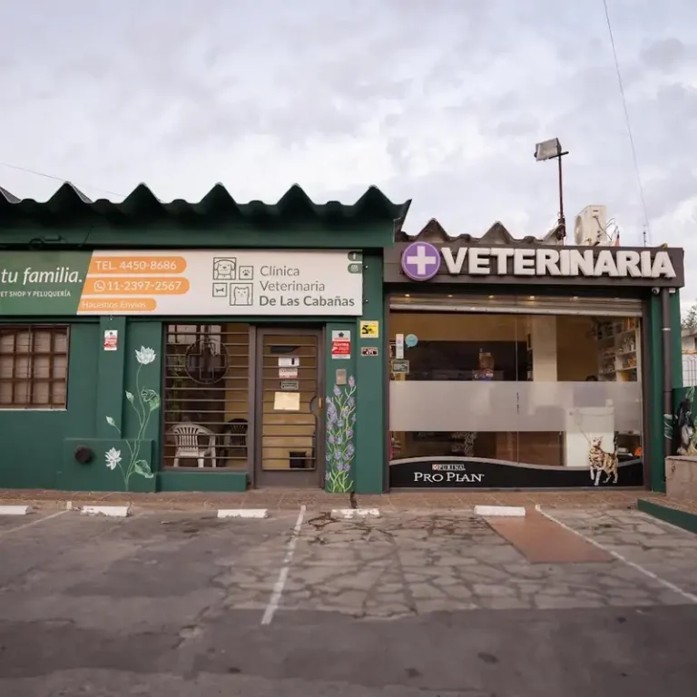 clinica veterinaria de las cabanas 768x768