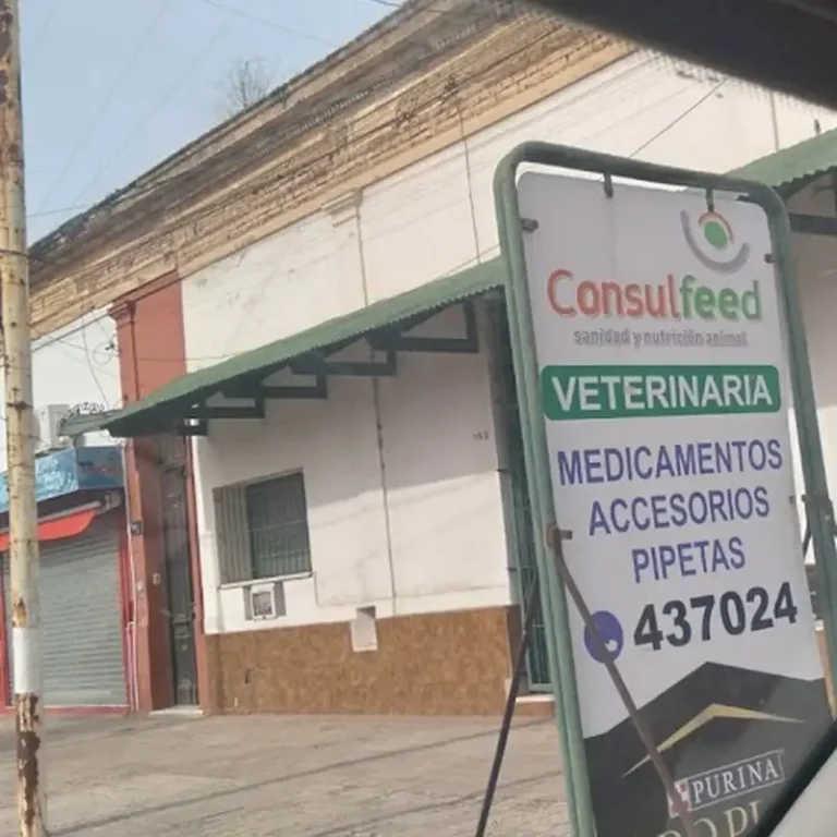 consulfeed del dr miguel ramassa 768x768