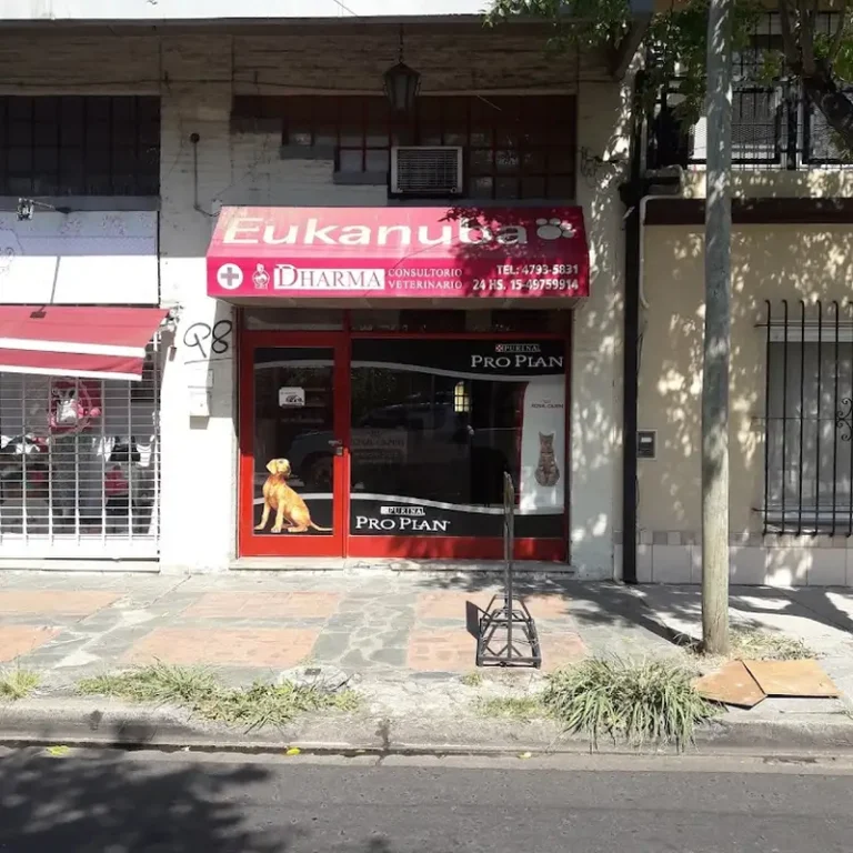consultorio veterinario dharma 768x768