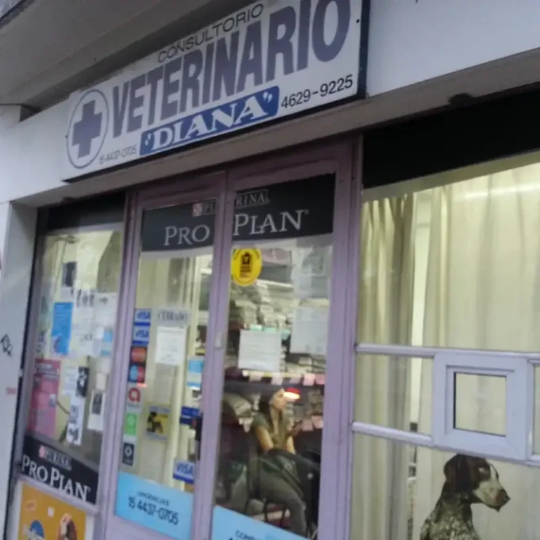 consultorio veterinario diana 768x768