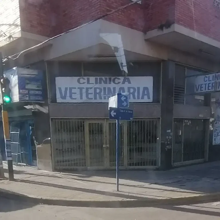 dr torres veterinaria 768x768