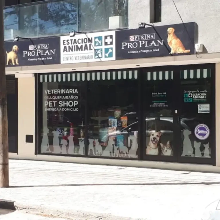 estacion animal 768x768