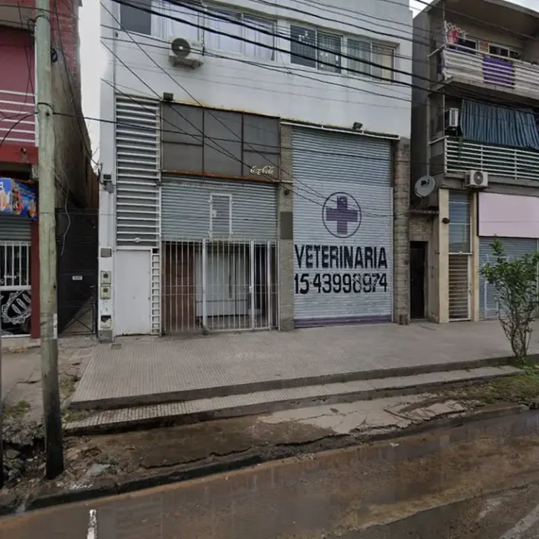hospital veterinario hector fernandez 768x768