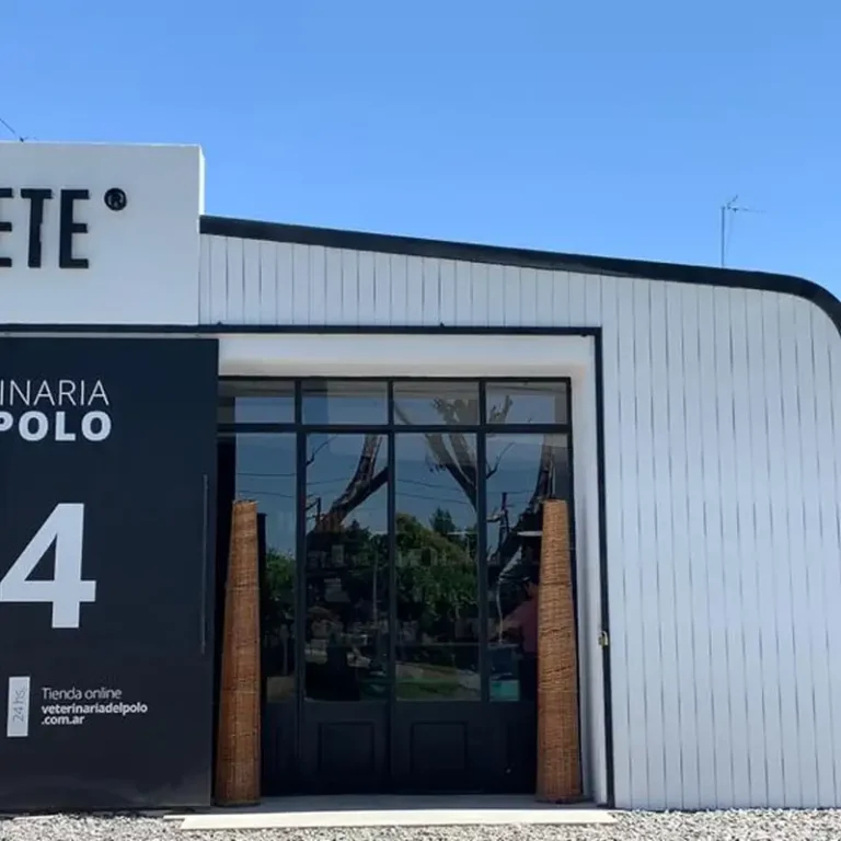 la vete veterinaria del polo 768x768