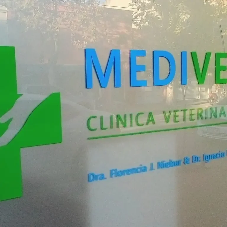 medivet clinica veterinaria 768x768