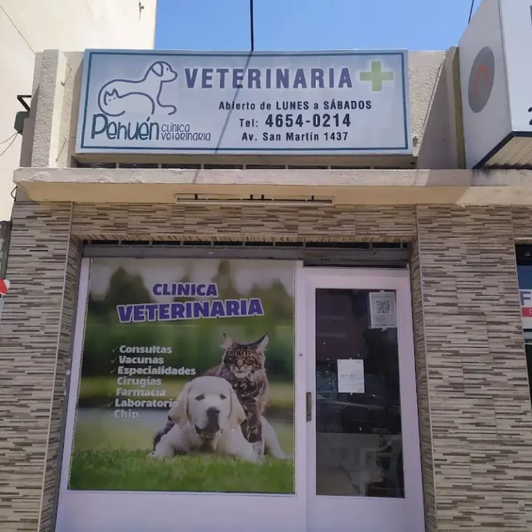 pehuen clinica veterinaria ramos mejia 768x768