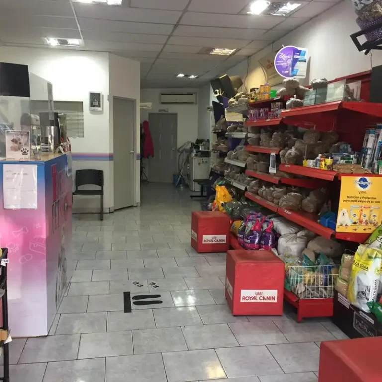 pet shop torre 768x768