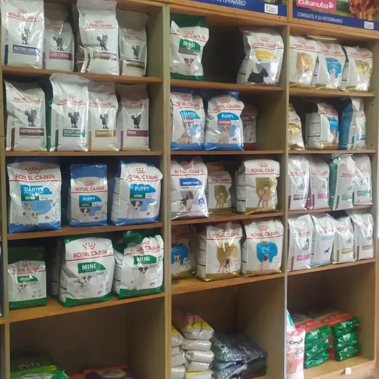 rv clinica veterinaria 768x768