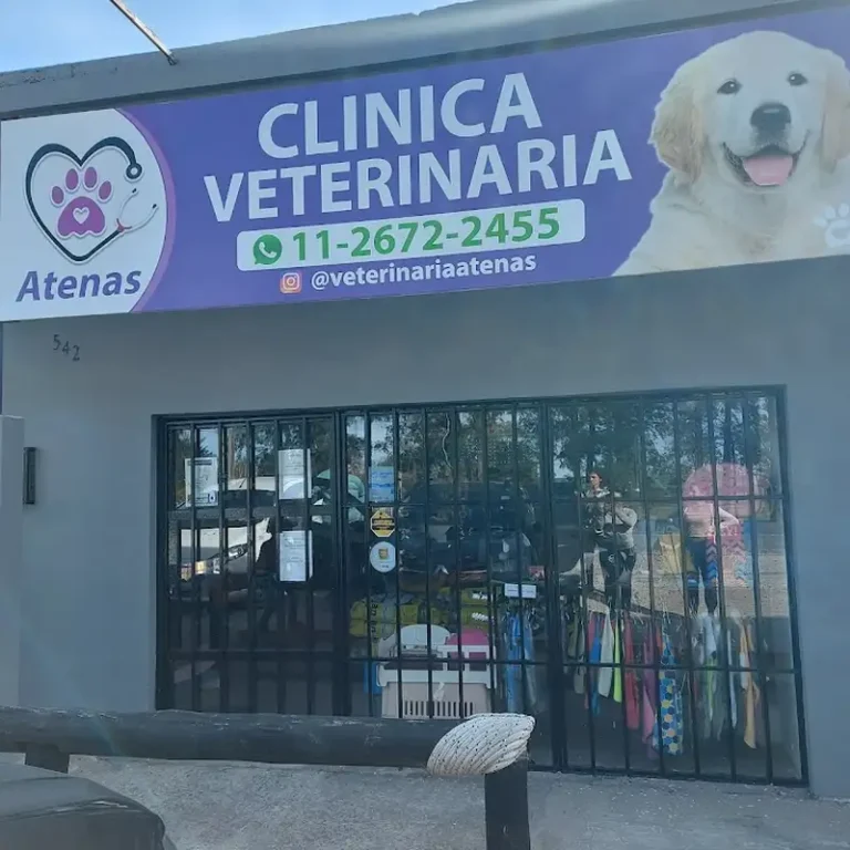 veterinaria atenas 768x768