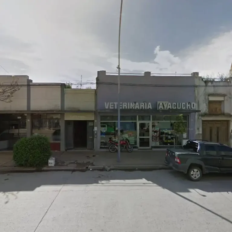 veterinaria ayacucho 768x768