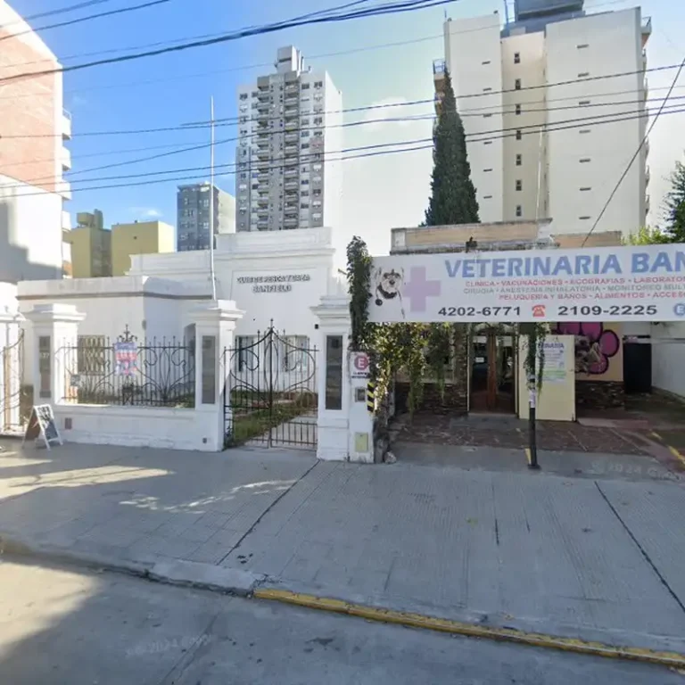 veterinaria banfield 768x768