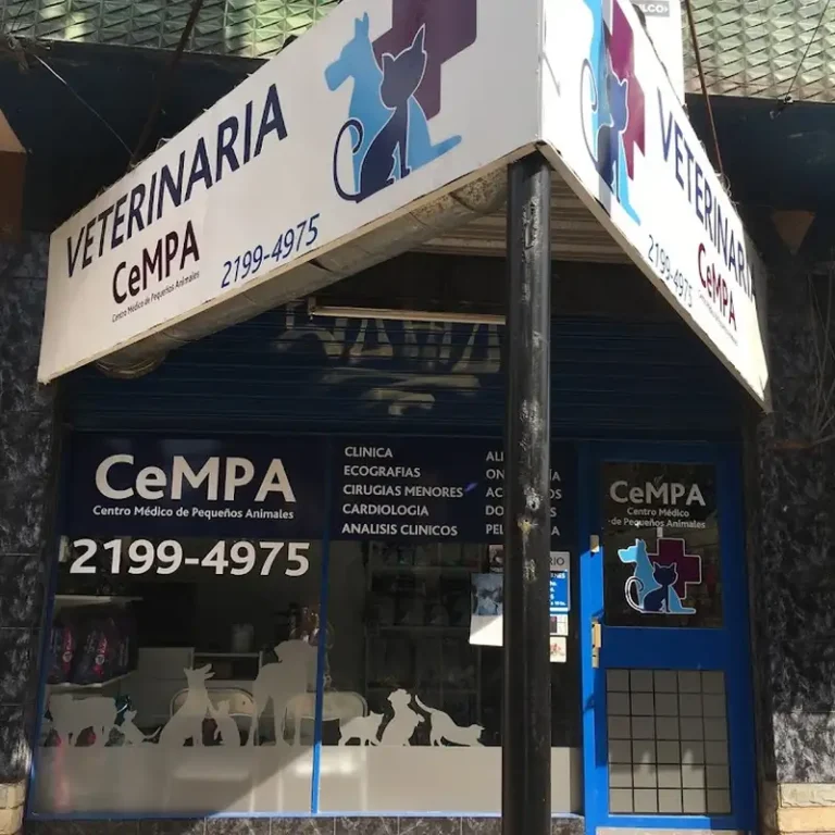 veterinaria cempa 768x768