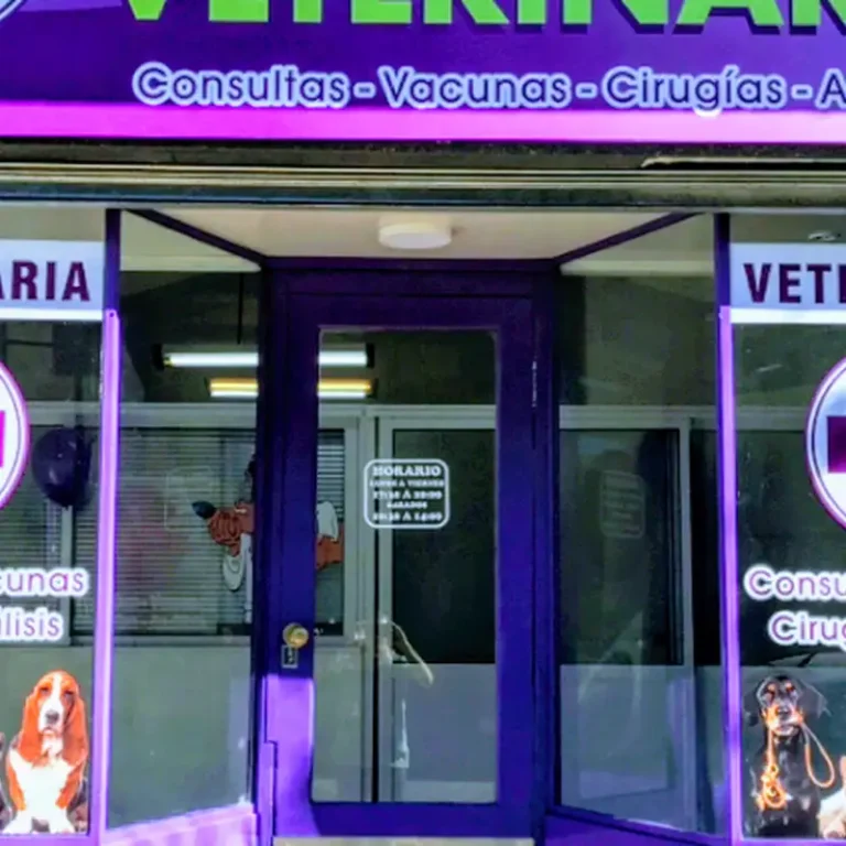 veterinaria constituyentes 768x768