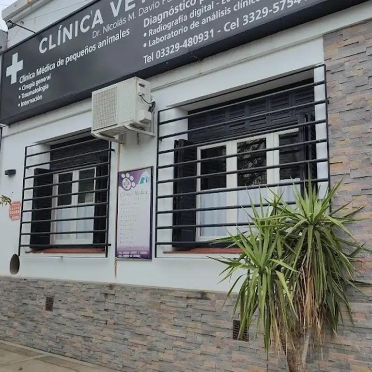 veterinaria davio 768x768