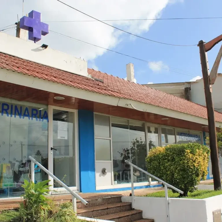 veterinaria del faro 768x768