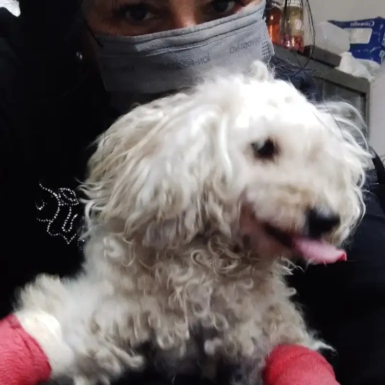 veterinaria don tota 768x768