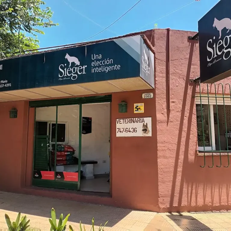 veterinaria dr eito miguel angel 768x768