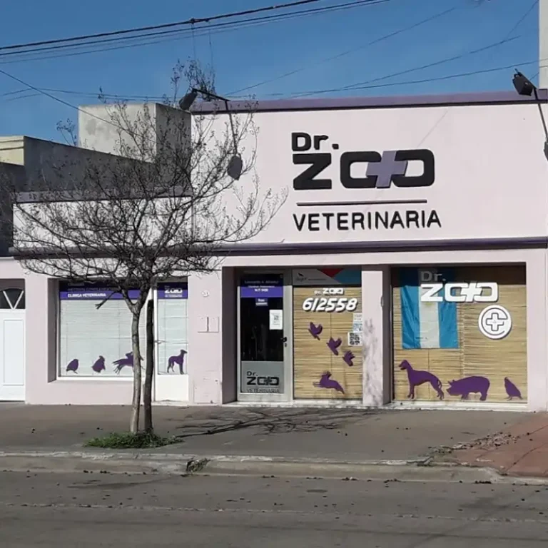 veterinaria dr zoo 768x768