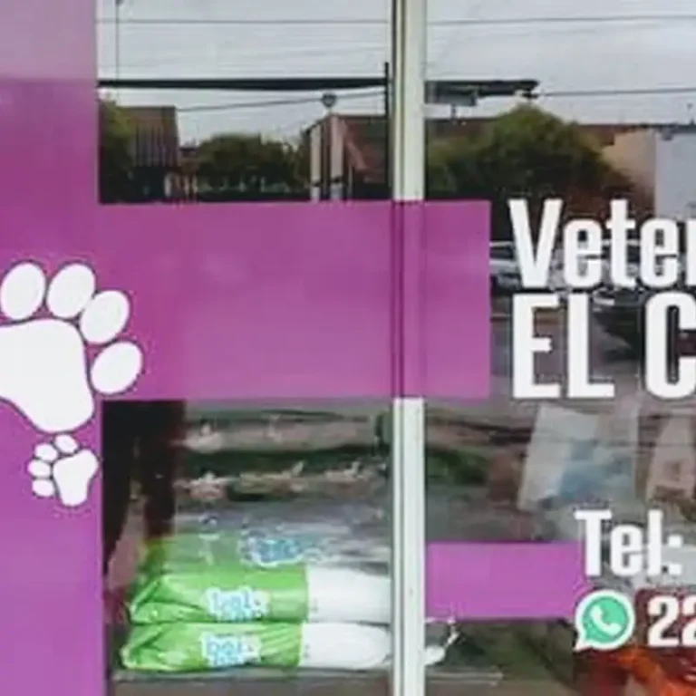 veterinaria el cruce olmos 768x768